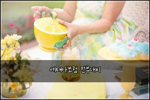세태아보험 전부대비 