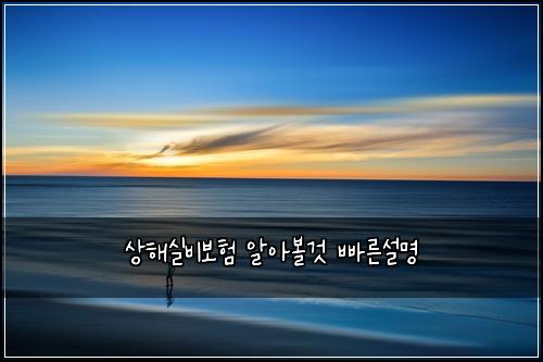 상해실비보험 알아볼것  빠른설명