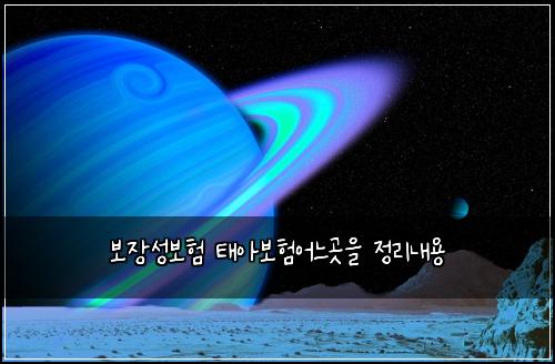 보장성보험 태아보험어느곳을 정리내용