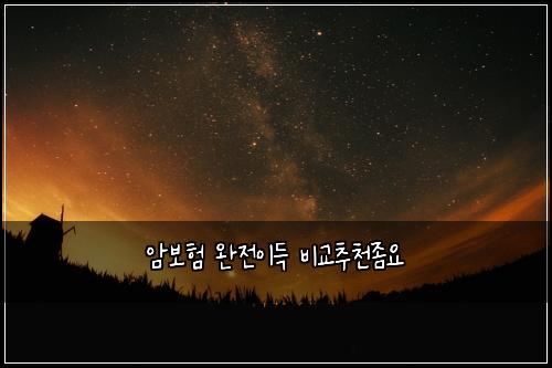 암보험 완전이득  비교추천좀요