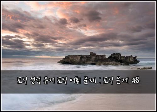 토익 성적 유지 토익 어휘 문제 : 토익 문제 #8