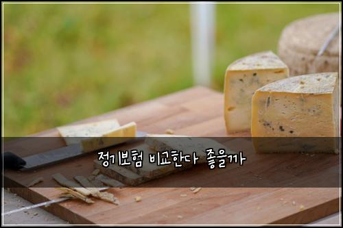 정기보험 비교한다  좋을까