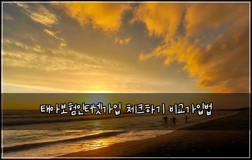 태아보험인터넷가입 체크하기 비교가입법