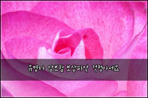 유병자 암보험 보상파악  걱정마세요