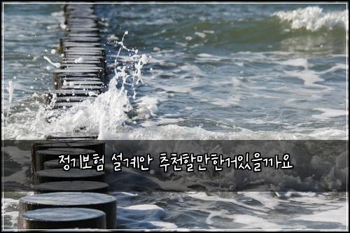정기보험 설계안  추천할만한거있을까요
