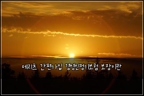 메리츠 간편가입 경영인정기보험 보장이란 