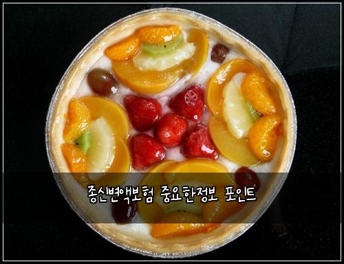 종신변액보험 중요한정보  포인트