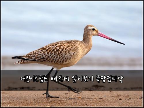 어린이보험료 빠르게 알아보기 특장점파악