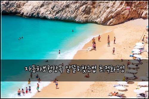 자동차보험항목 알뜰히찾는법 최적화구성