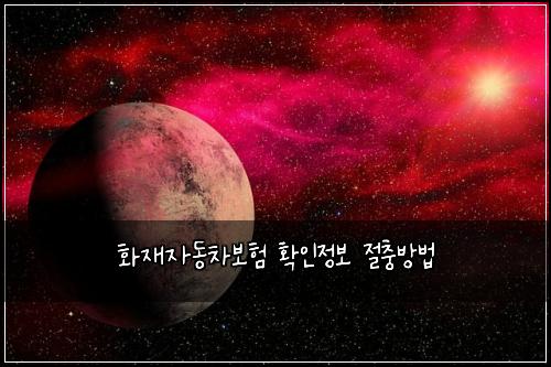 화재자동차보험 확인정보  절충방법