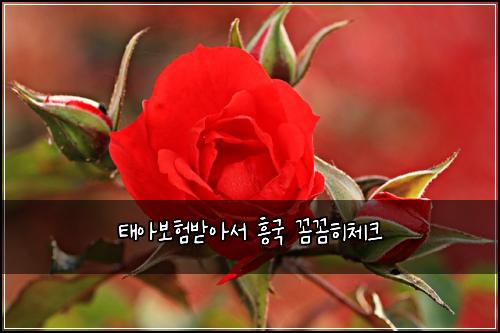 ํ์๋ณดํ๋ฐ์์ ํฅ๊ตญ ๊ผผ๊ผผํ์ฒดํฌ