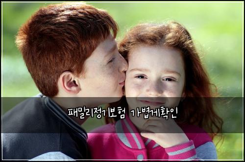 패밀리정기보험 가볍게확인 