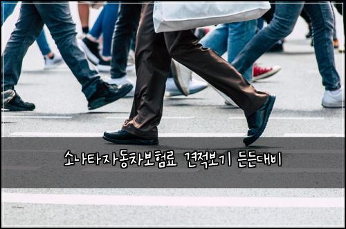 소나타자동차보험료 견적보기 든든대비