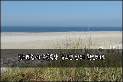 정기보험에 수술특약 넣으면 안돼 확인체크