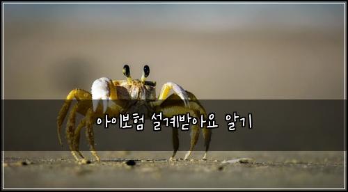 ์์ด๋ณดํ ์ค๊ณ๋ฐ์์ ์๊ธฐ