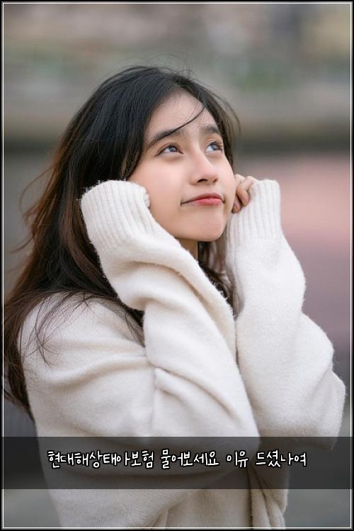 현대해상태아보험 물어보세요  이유 드셨나여