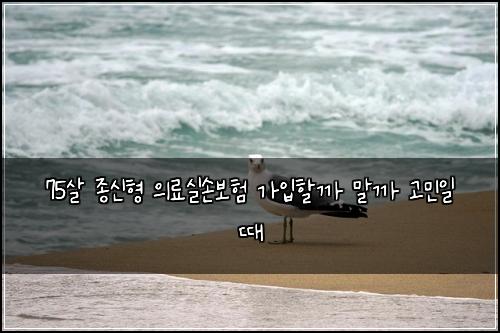 75살 종신형 의료실손보험 가입할까 말까 고민일 때