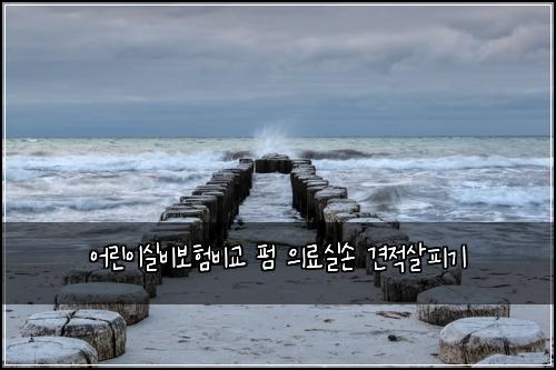 어린이실비보험비교 펌 의료실손 견적살피기