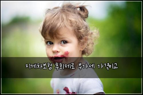 지게차보험 후회제로  부가세 가격비교