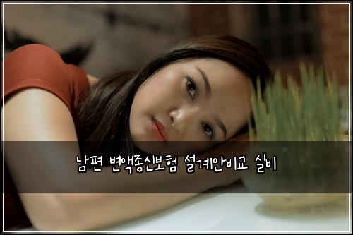 남편 변액종신보험 설계안비교  실비