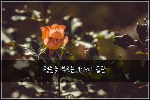 행운을 부르는 9가지 습관