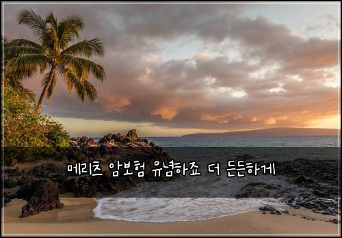 ๋ฉ๋ฆฌ์ธ ์๋ณดํ ์ ๋
ํ์ฃ ๋ ๋ ๋ ํ๊ฒ