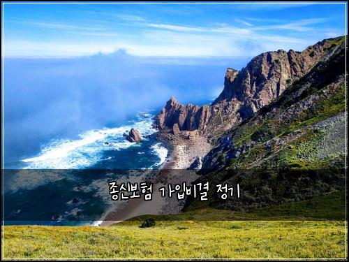 종신보험 가입비결  정기