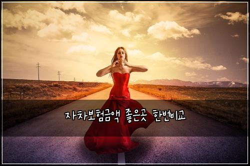 자차보험금액 좋은곳 한번비교