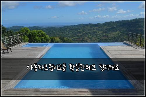 자동차보험비교몰 확실한체크 정리해요