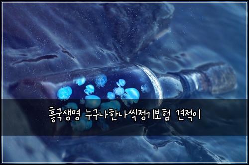흫국생명 누구나한나씩정기보험 견적이 