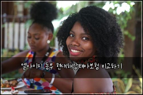 엘아이지 동부 현대해상태아보험 비교하기