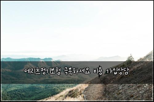 메리츠정기보험 극복하세요  비용 가입상담