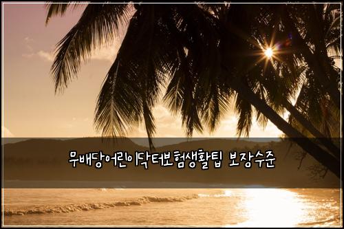 ๋ฌด๋ฐฐ๋น์ด๋ฆฐ์ด๋ฅํฐ๋ณดํ์ํํ ๋ณด์ฅ์์ค