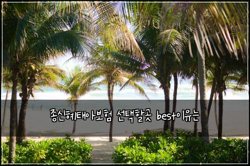 종신혜태아보험 선택할곳  best이유는