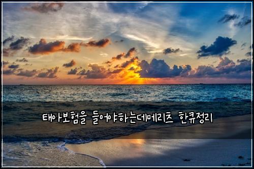 태아보험을 들어야하는데메리츠 한큐정리