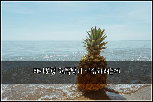 태아보험 혜택받기  가입하려는데