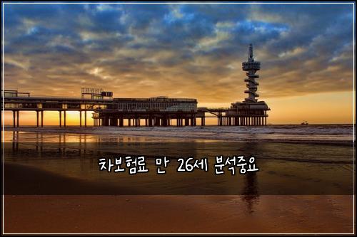 차보험료 만 26세 분석중요