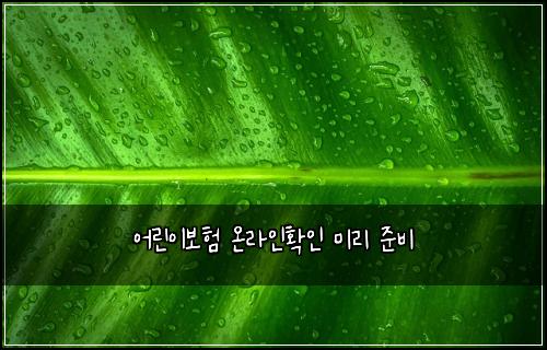 ์ด๋ฆฐ์ด๋ณดํ ์จ๋ผ์ธํ์ธ ๋ฏธ๋ฆฌ ์ค๋น