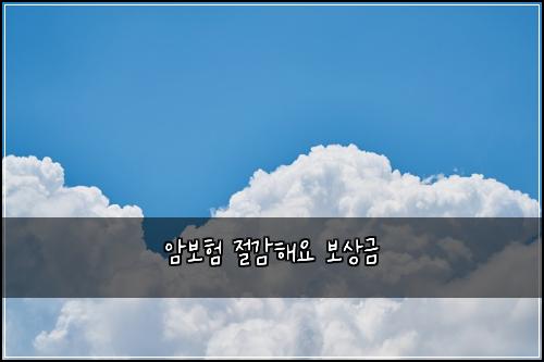 ์๋ณดํ ์ ๊ฐํด์ ๋ณด์๊ธ