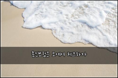 종신보험은 모예여 체크하자