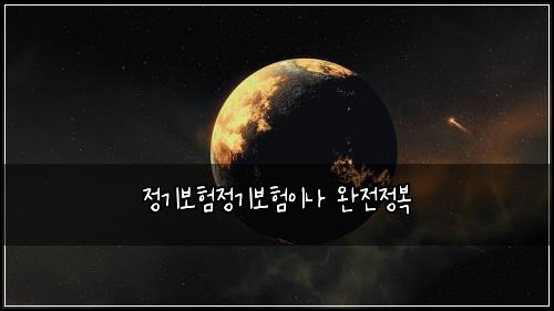 정기보험정기보험이나 완전정복