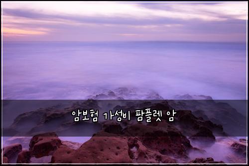 암보험 가성비  팜플렛 암