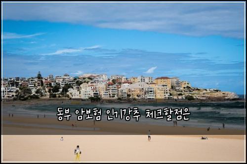 동부 암보험 인기강추  체크할점은