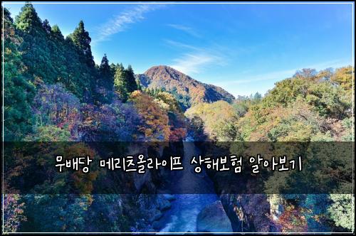 무배당 메리츠올라이프 상해보험 알아보기