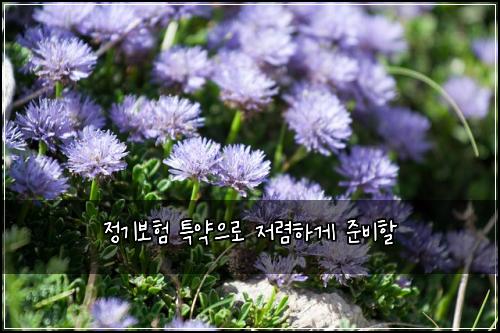 정기보험 특약으로  저렴하게 준비할