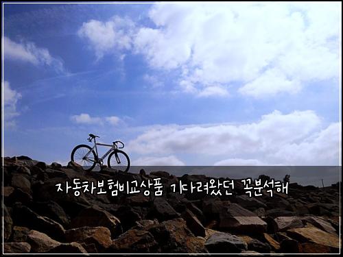자동차보험비교상품 기다려왔던 꼭분석해