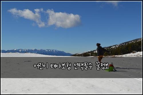 어린이 태아보험 선택필수  꿀정보