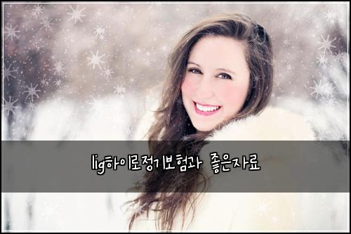 lig하이로정기보험과 좋은자료