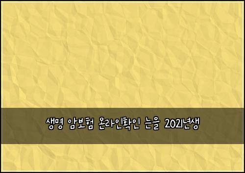 생명 암보험 온라인확인  는을 2021년생