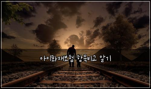 아이화재보험 항목비교  알기